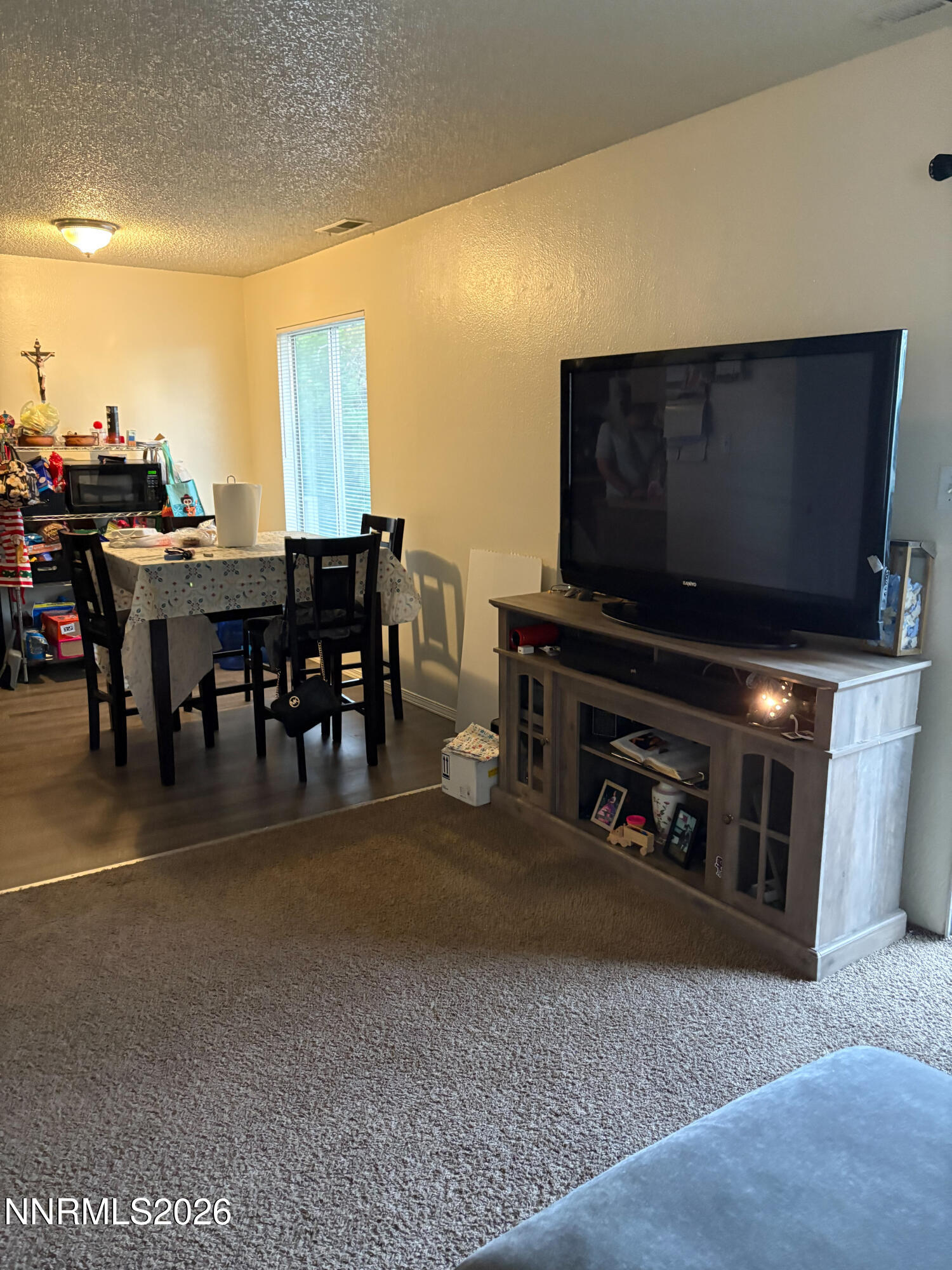 400 South Saliman Road, Unit 146 Carson City, NV 89701 - Photo 6 of 15 IMG_5541(2)