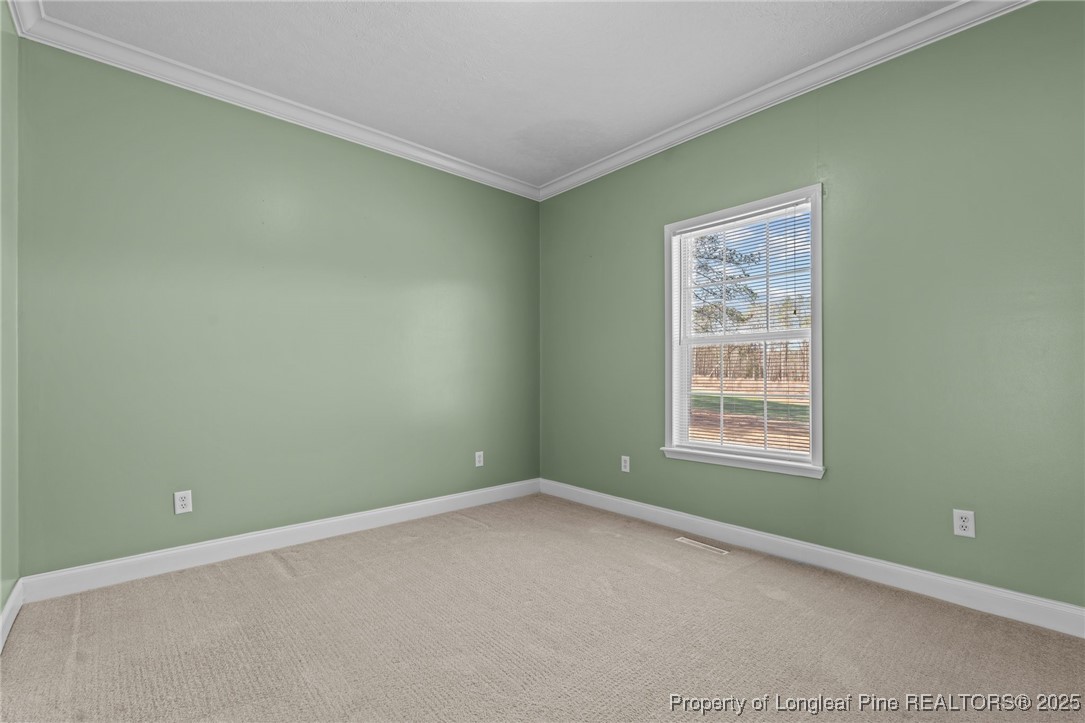 157 Deer Track Road Lillington, NC 27546 - Photo 19 of 32 Gallery Image 19
