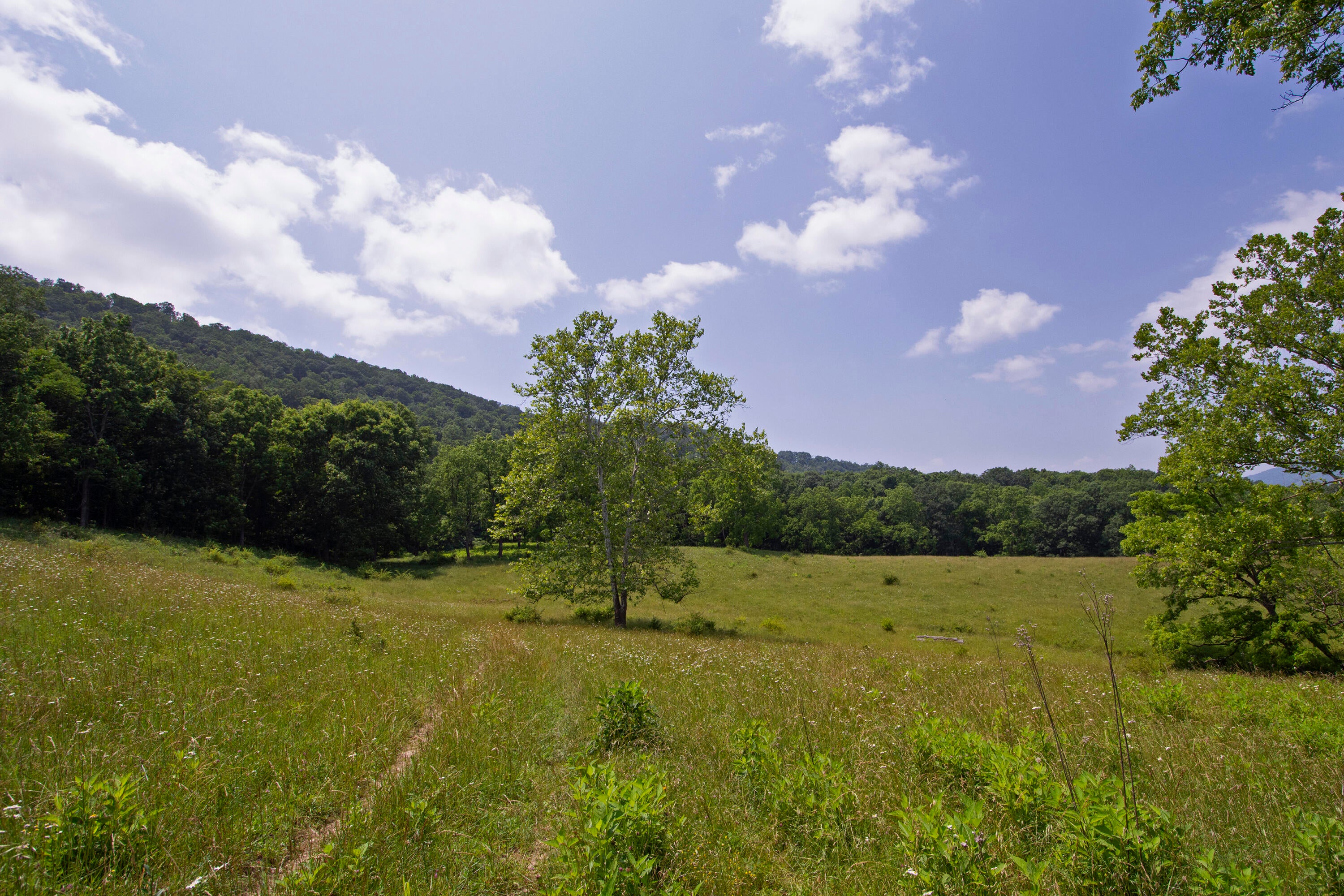 106 Creamery Road Pence Springs, WV 24962 - Photo 132 of 153 Gallery Image 132