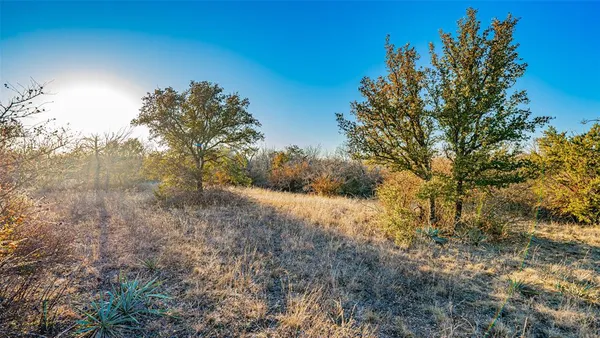 a view of a large yard with lots of bushes