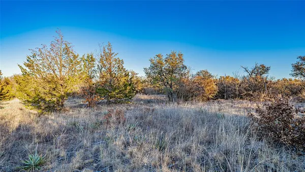 a view of a yard next to a lake