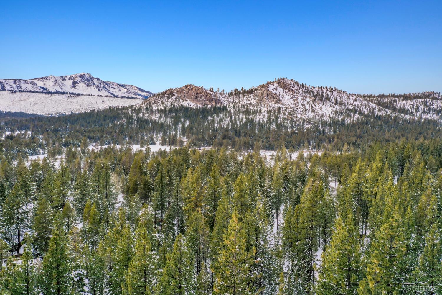 1444 Pebble Beach Road South Lake Tahoe, CA 96150 - Photo 21 of 24