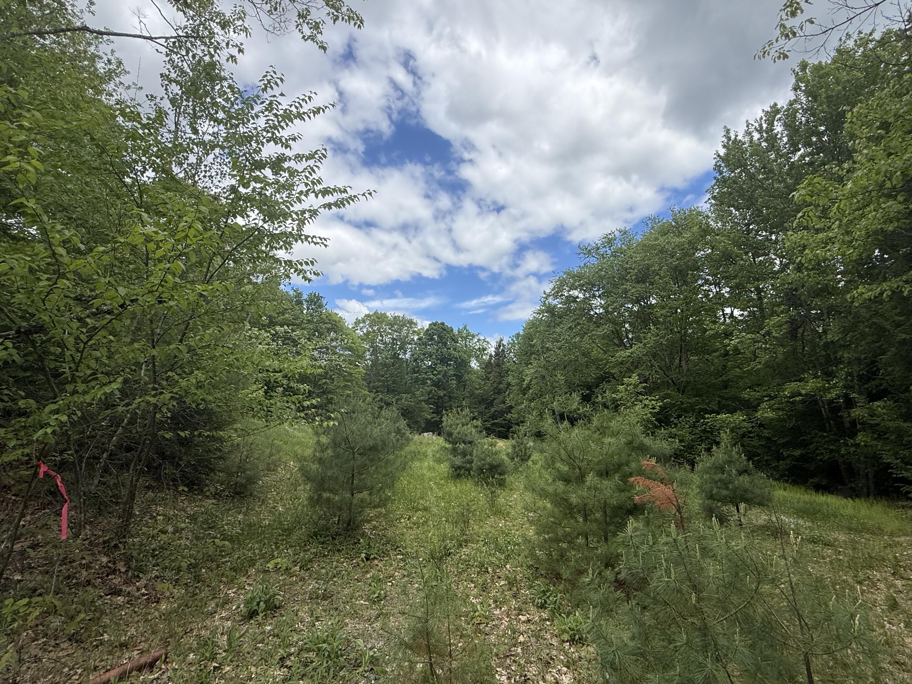 Lot29 A Portland Road Bridgton, ME 04009 - Photo 6 of 10 Photo 5