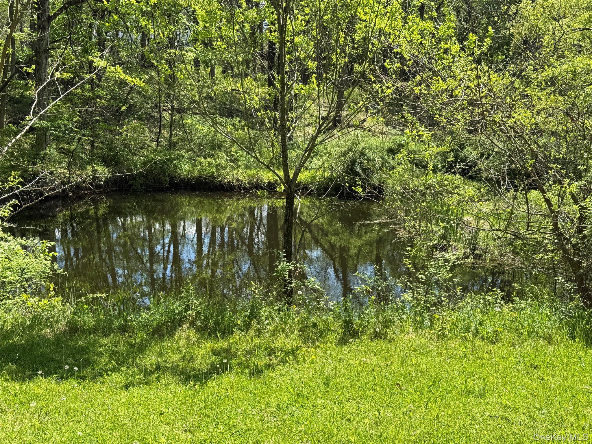 183 Barrytown Road Barrytown, NY 12507 - Photo 4 of 41 a view of lake with green landscape