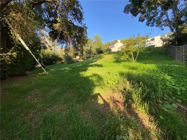 a view of a lush green space