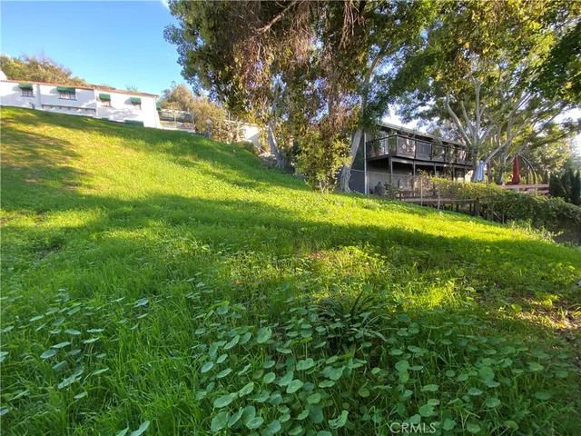 a view of yard with green space