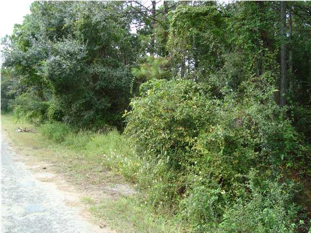 2498 Oak Street Carrabelle, FL 32322 - Photo 1 of 1