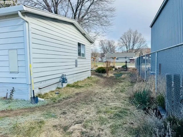 a house that has a tree in front of it