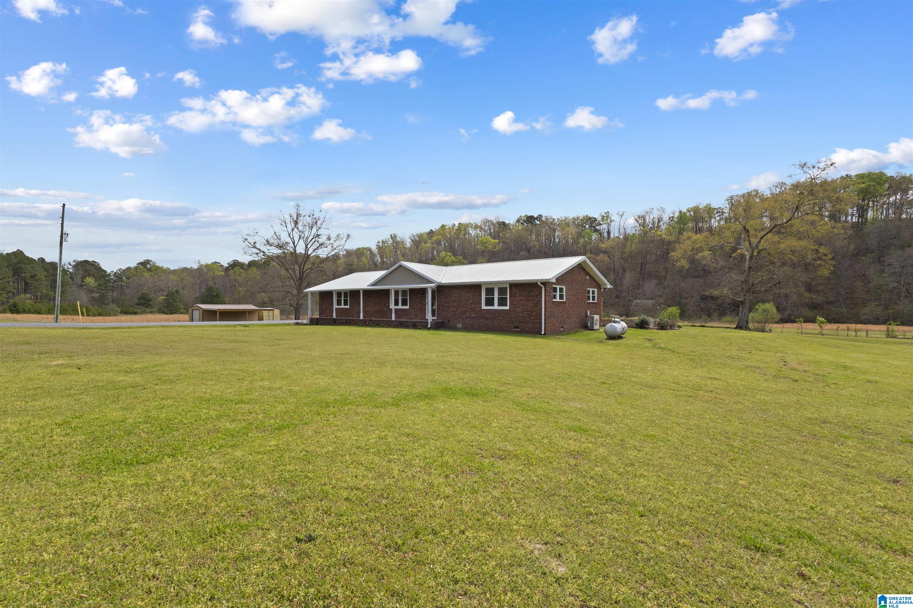 1502 Possum Trot Road Piedmont, AL 36272 - Photo 2 of 42