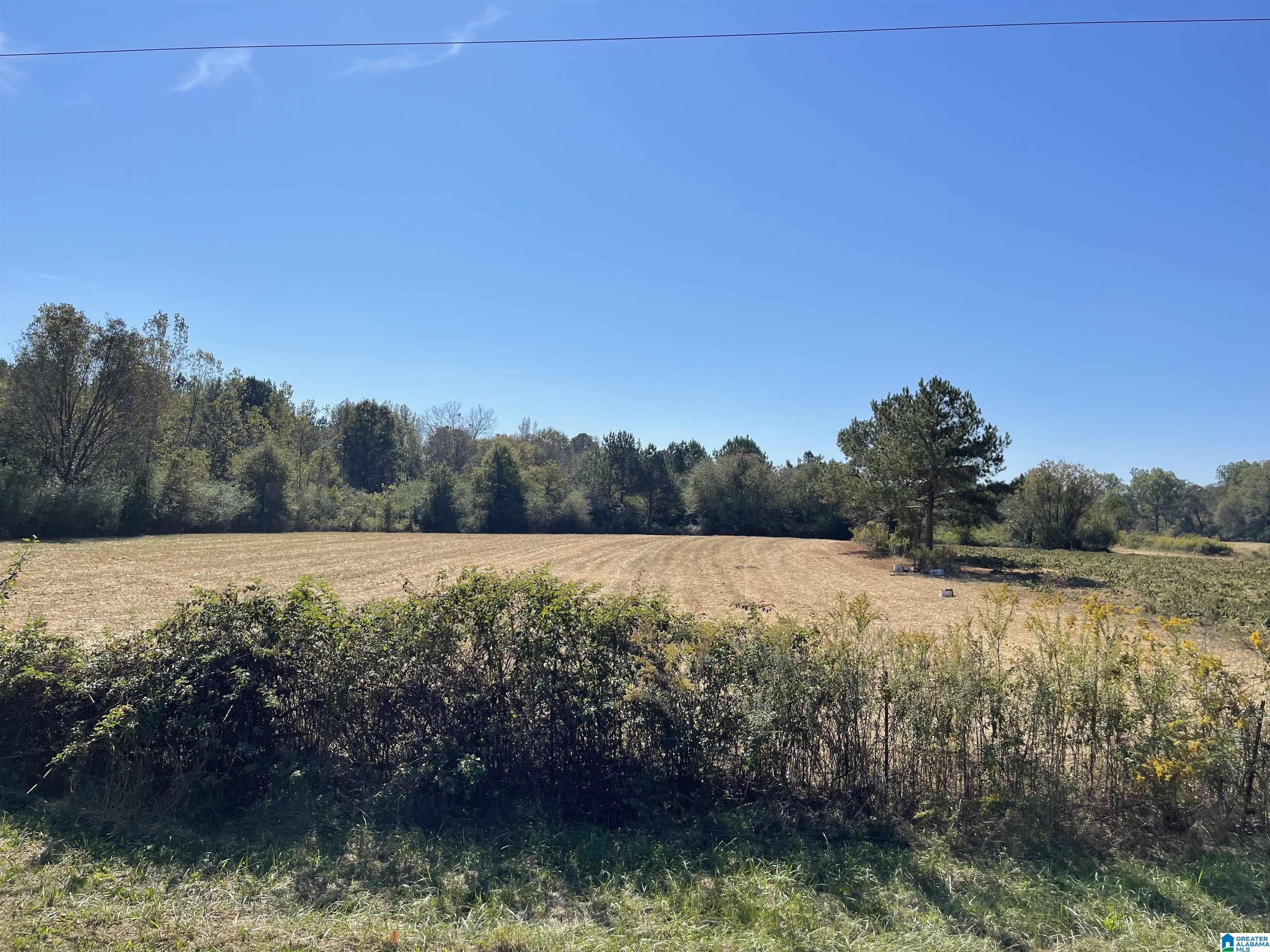0 Farmingdale Road, Unit 28 Harpersville, AL 35078 - Photo 2 of 4