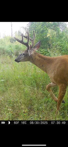 $199,927 | Tbd Kite Street, Isle, MN 56342