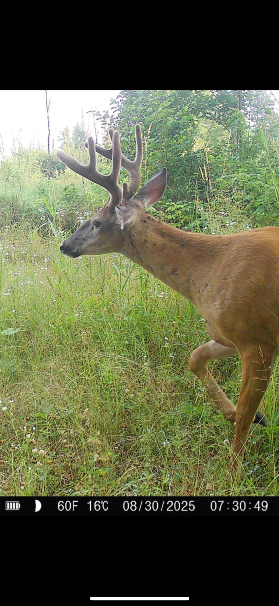 Tbd Kite Street Isle, MN 56342 - Photo 14 of 50