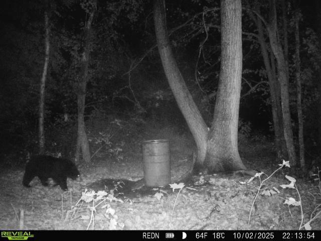 Tbd Kite Street Isle, MN 56342 - Photo 15 of 50