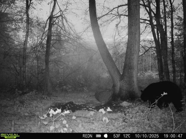 Tbd Kite Street Isle, MN 56342 - Photo 16 of 50