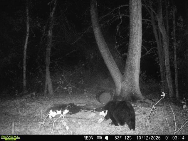 Tbd Kite Street Isle, MN 56342 - Photo 17 of 50