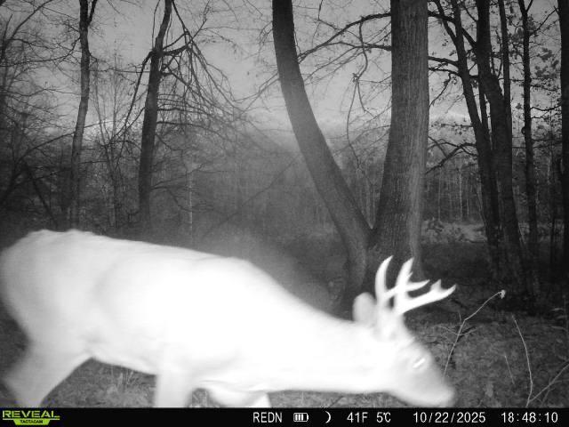 Tbd Kite Street Isle, MN 56342 - Photo 19 of 50