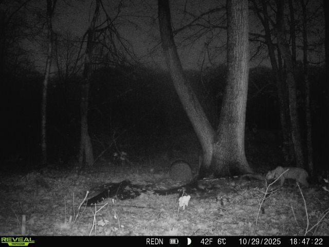 Tbd Kite Street Isle, MN 56342 - Photo 20 of 50