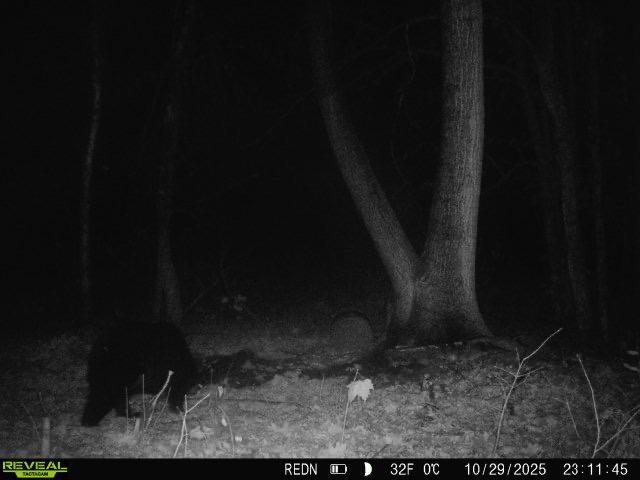 Tbd Kite Street Isle, MN 56342 - Photo 21 of 50