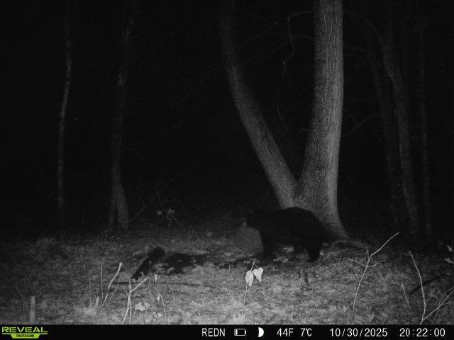 Tbd Kite Street Isle, MN 56342 - Photo 22 of 50