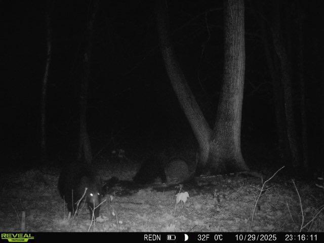 Tbd Kite Street Isle, MN 56342 - Photo 23 of 50