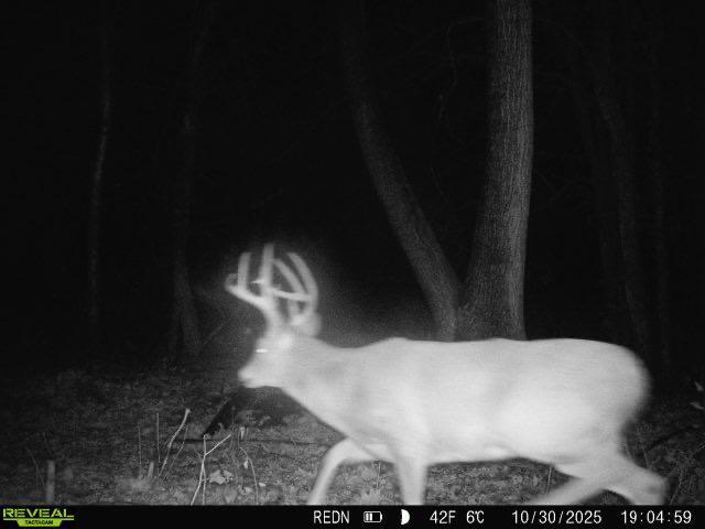 Tbd Kite Street Isle, MN 56342 - Photo 24 of 50