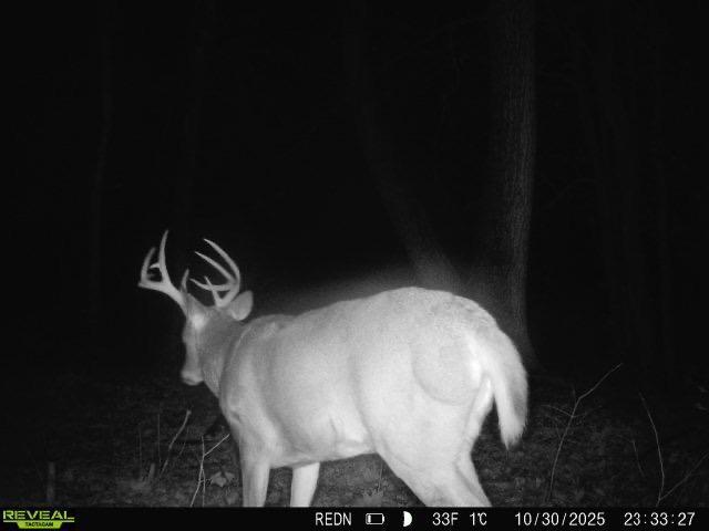 Tbd Kite Street Isle, MN 56342 - Photo 25 of 50