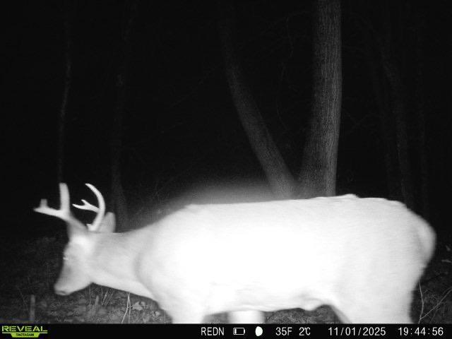 Tbd Kite Street Isle, MN 56342 - Photo 27 of 50