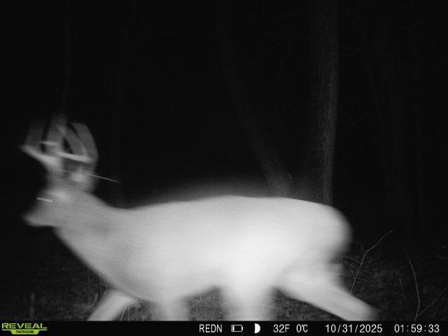 Tbd Kite Street Isle, MN 56342 - Photo 28 of 50