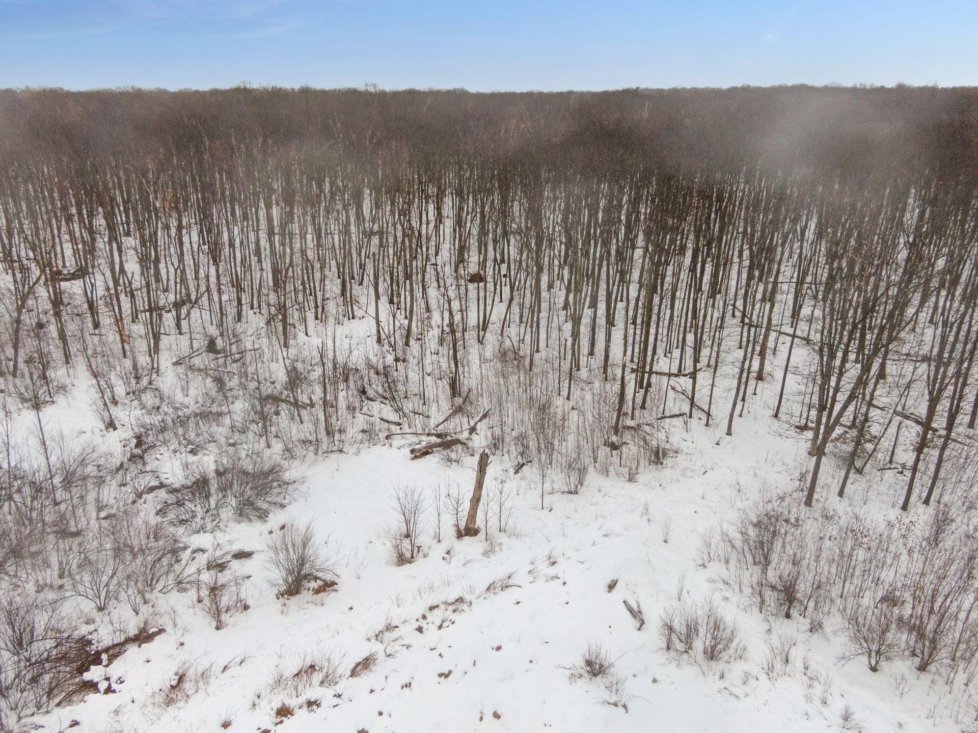 Tbd Kite Street Isle, MN 56342 - Photo 32 of 50