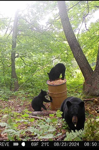 $199,927 | Tbd Kite Street, Isle, MN 56342