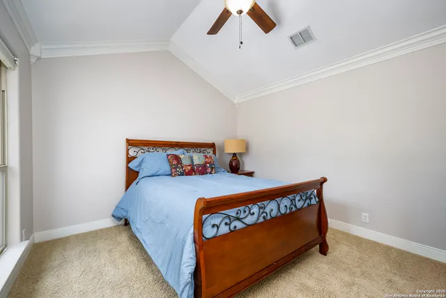 a view of a backyard with plants and a large tree