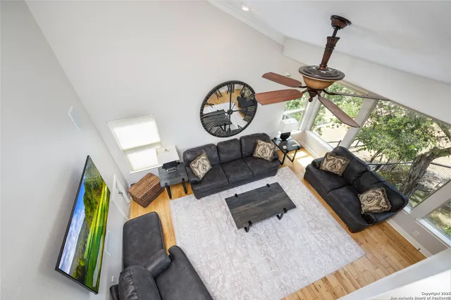 a view of a bunch of trees in a yard