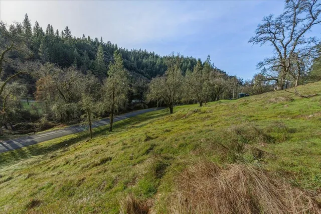 a big yard with lots of green space