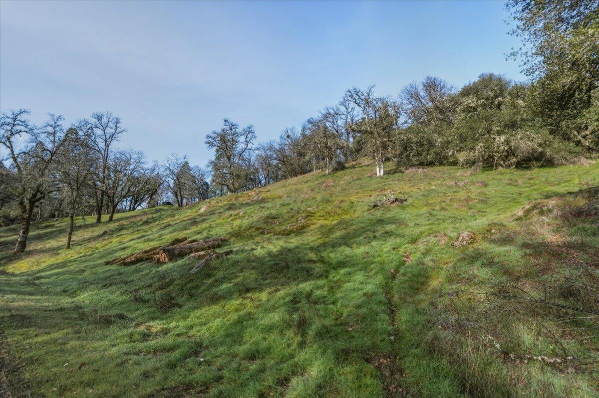 15824 Clover Valley Road Grass Valley, CA 95949 - Photo 12 of 31