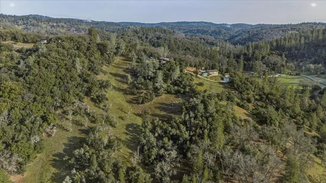 a view of a mountain in the distance in a field