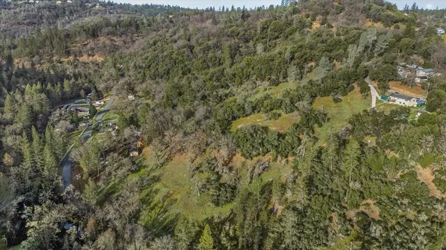 a view of a forest with a lush green forest