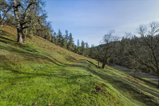 a view of grassy field with trees