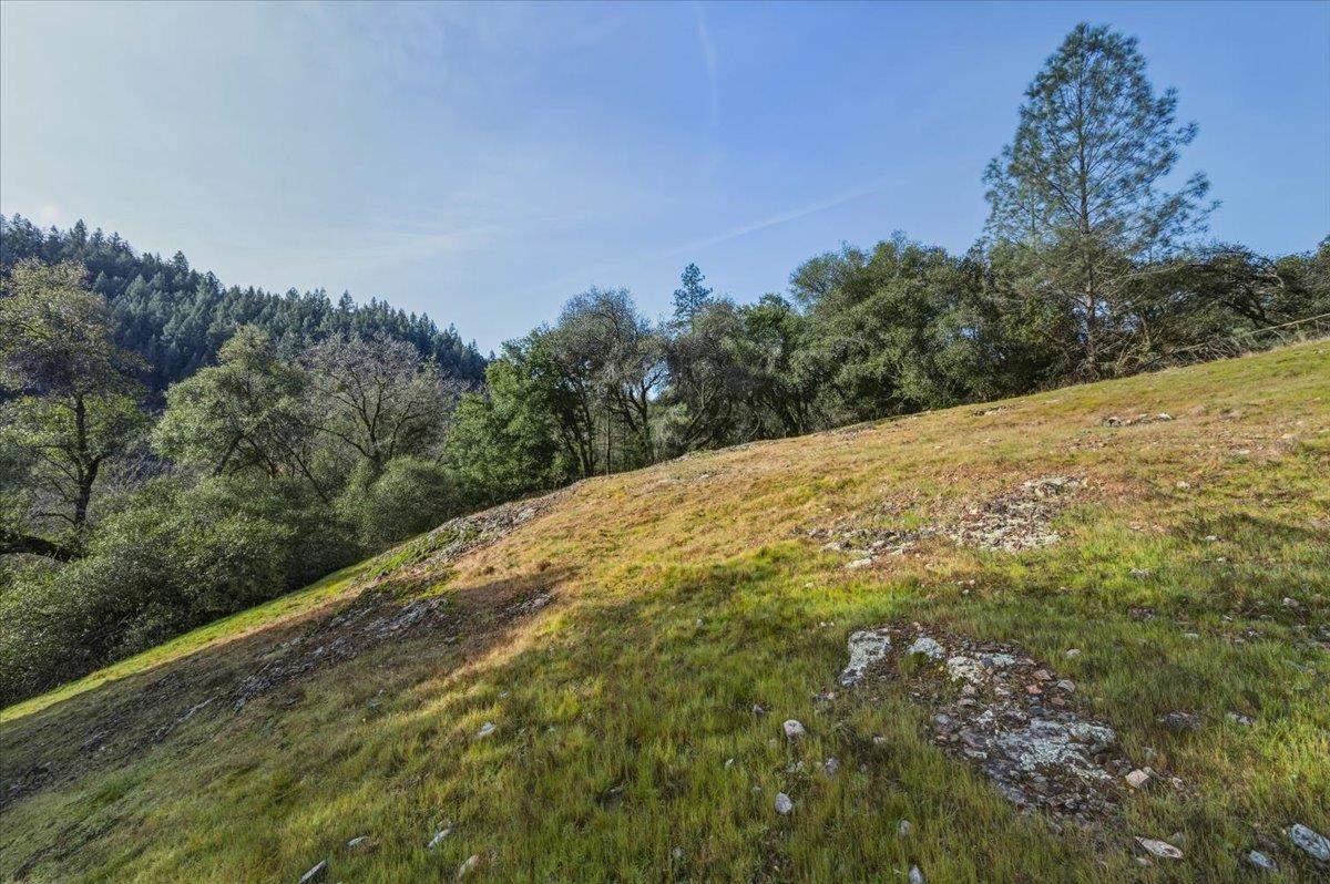 15824 Clover Valley Road Grass Valley, CA 95949 - Photo 5 of 31