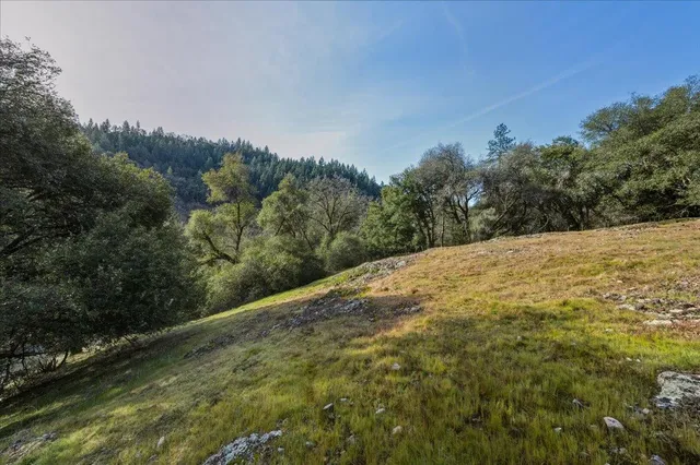 a view of a yard with mountain
