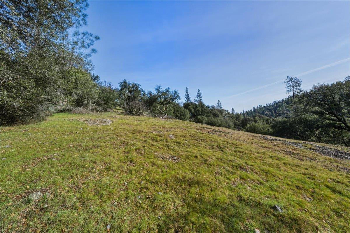15824 Clover Valley Road Grass Valley, CA 95949 - Photo 8 of 31