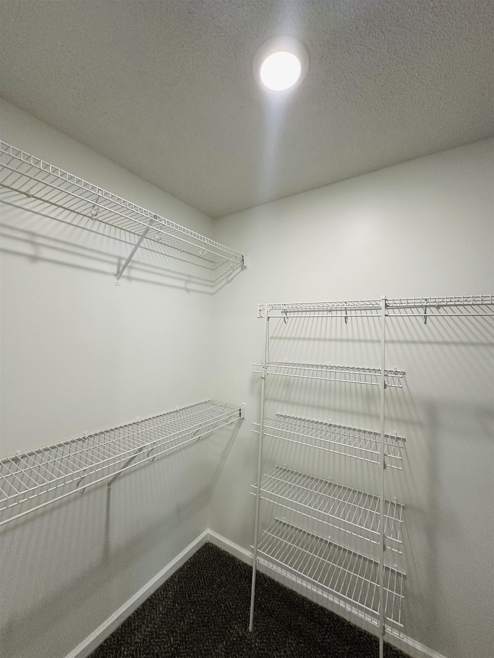 10006 Cameron Ridge Trail Memphis, TN 38016 - Photo 12 of 29 a view of storage and utility room with racks on the wall