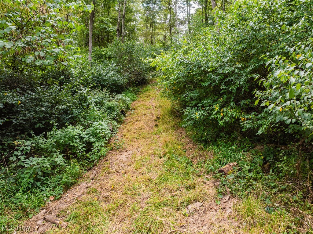 Tunnel Hill Road Dennison, OH 44621 - Photo 21 of 50