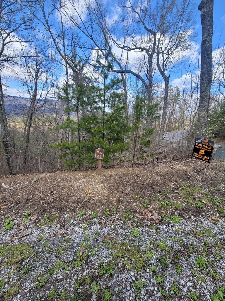 0 Coopers Hawk Way Sevierville, TN 37862 - Photo 2 of 11