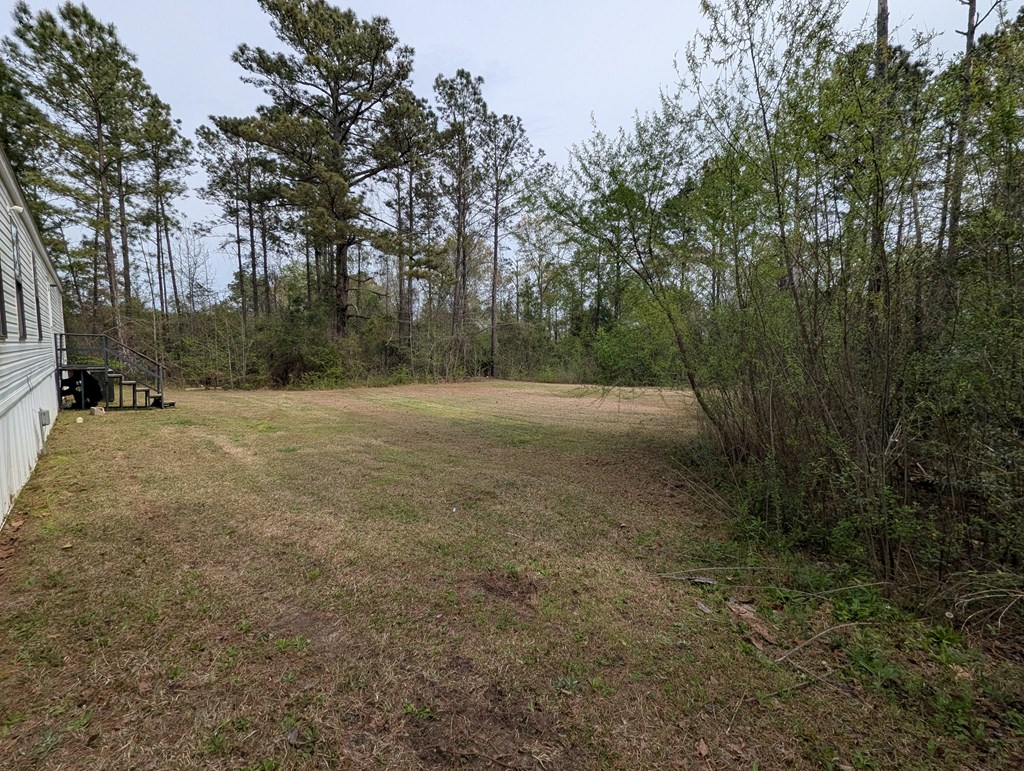 444 Sarah Dew Road Preston, GA 31824 - Photo 28 of 29 Gallery Image 28