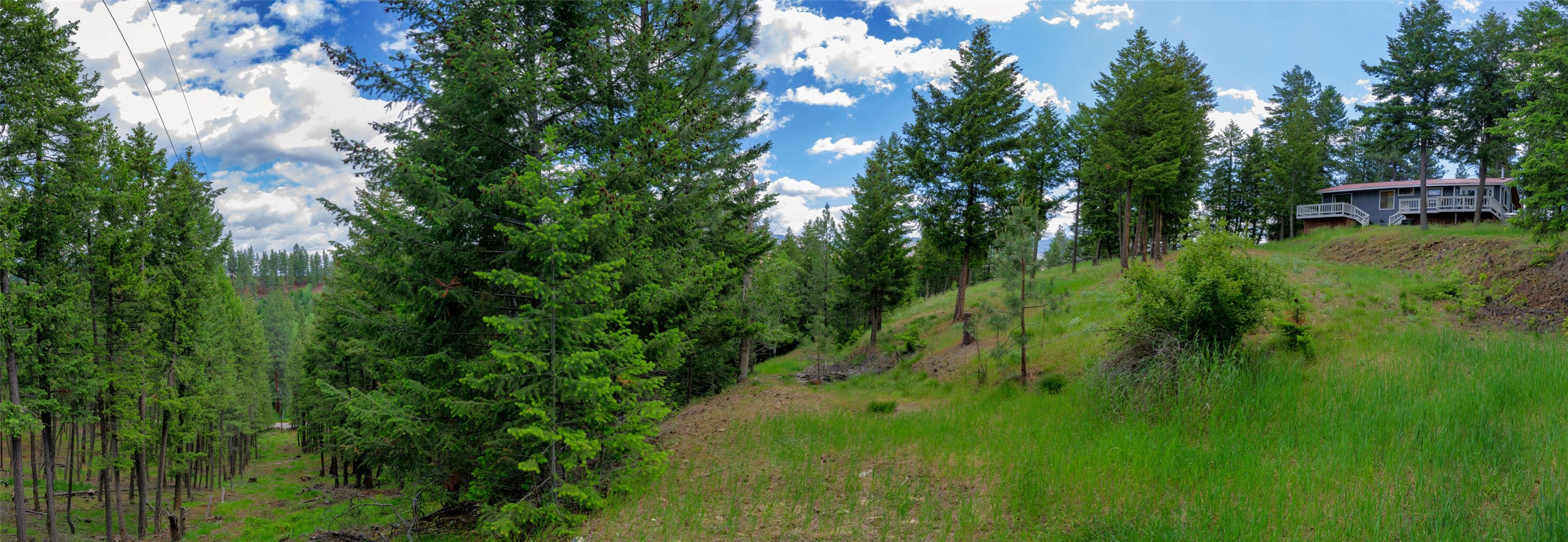 3410 Ray Mountain Road Darby, MT 59829 - Photo 19 of 64 Gallery Image 19