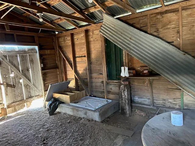 a view of a ocean with a large tree