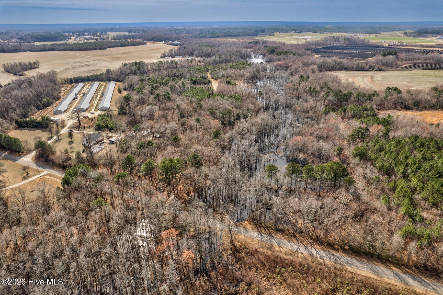 0 Ethridge Road Whitakers, NC 27891 - Photo 3 of 7 059-13064EthridgeRoad-Whitakers-NC-27891