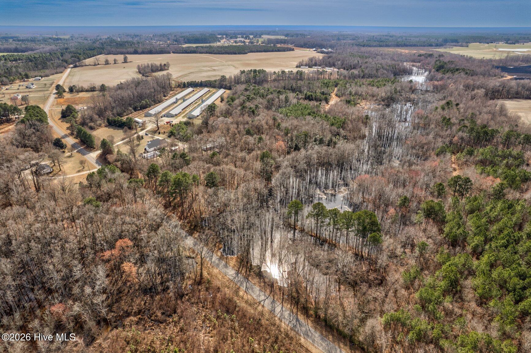 0 Ethridge Road Whitakers, NC 27891 - Photo 4 of 7 060-13064EthridgeRoad-Whitakers-NC-27891