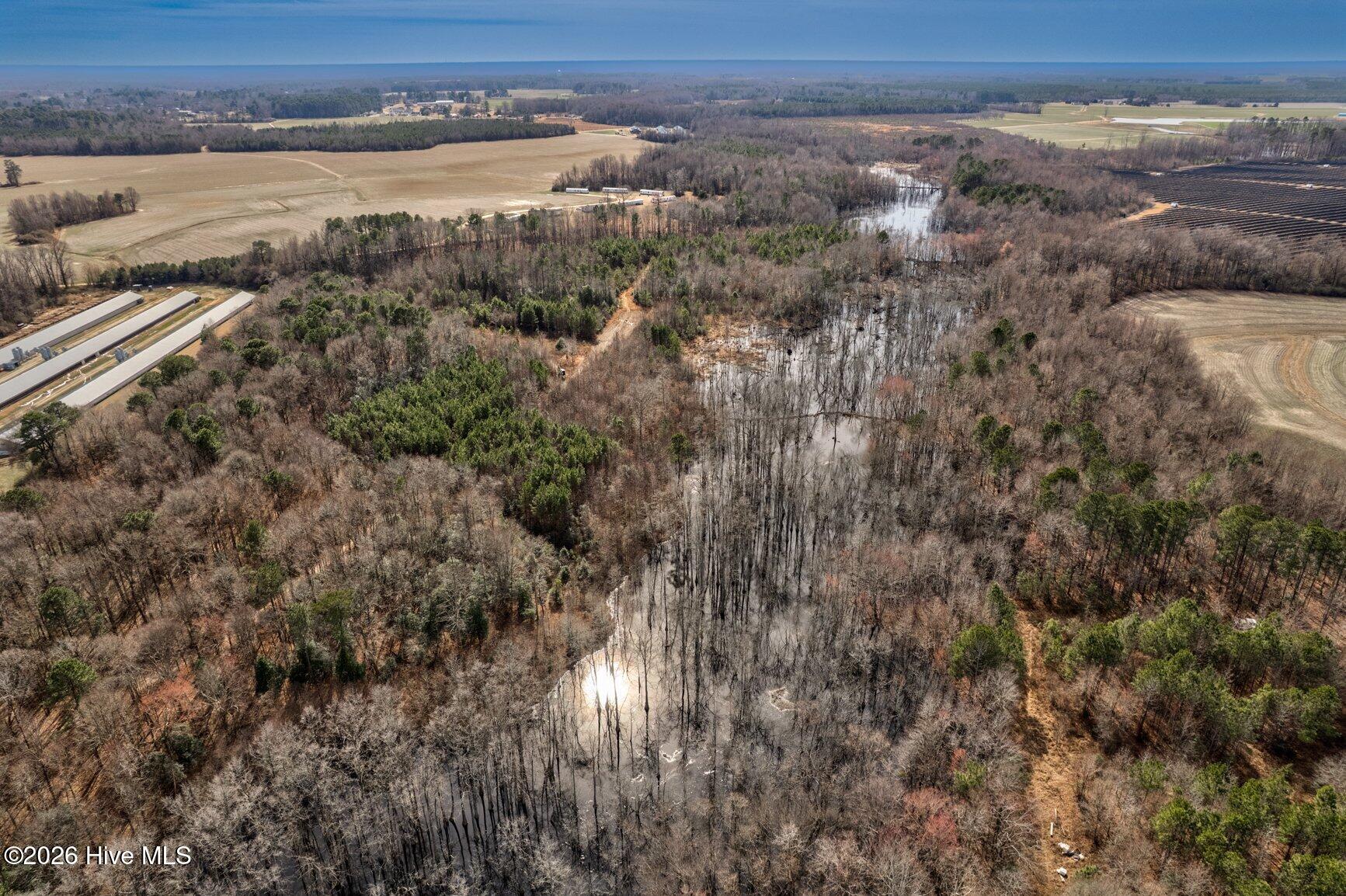 0 Ethridge Road Whitakers, NC 27891 - Photo 5 of 7 061-13064EthridgeRoad-Whitakers-NC-27891