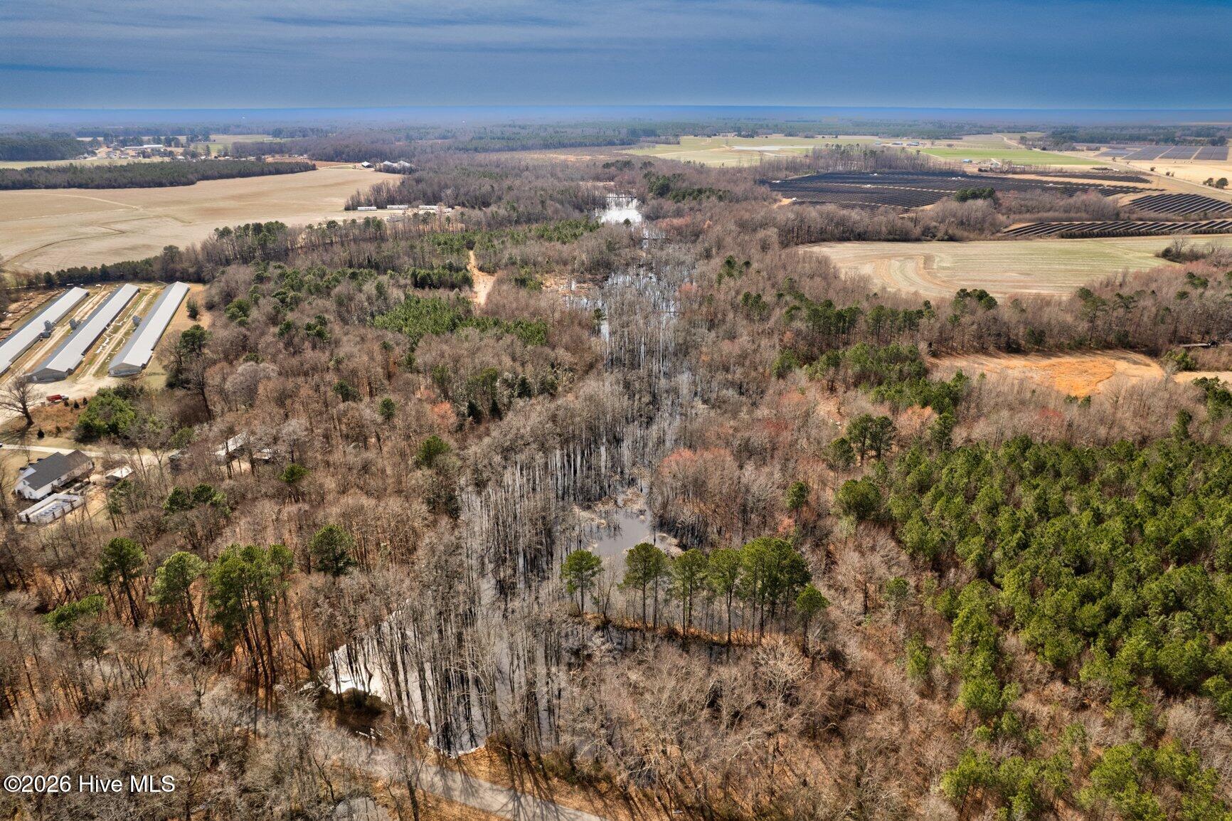 0 Ethridge Road Whitakers, NC 27891 - Photo 6 of 7 063-13064EthridgeRoad-Whitakers-NC-27891